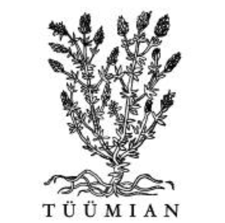 Tüümian Stuudio